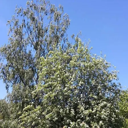 Сasa de vacaciones In