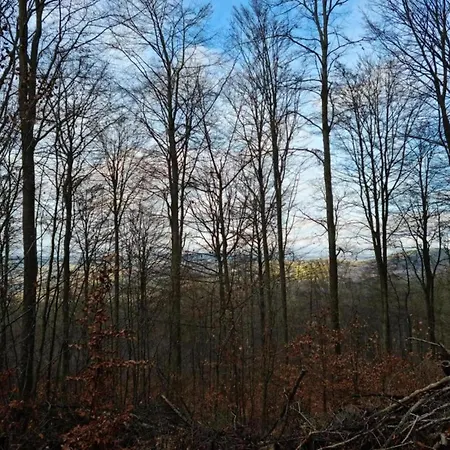 In Сasa de vacaciones *