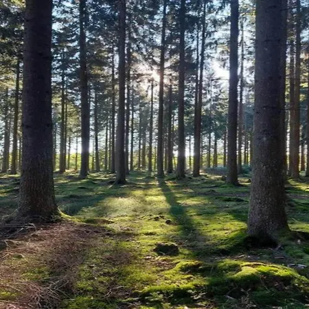 Сasa de vacaciones In Zierow